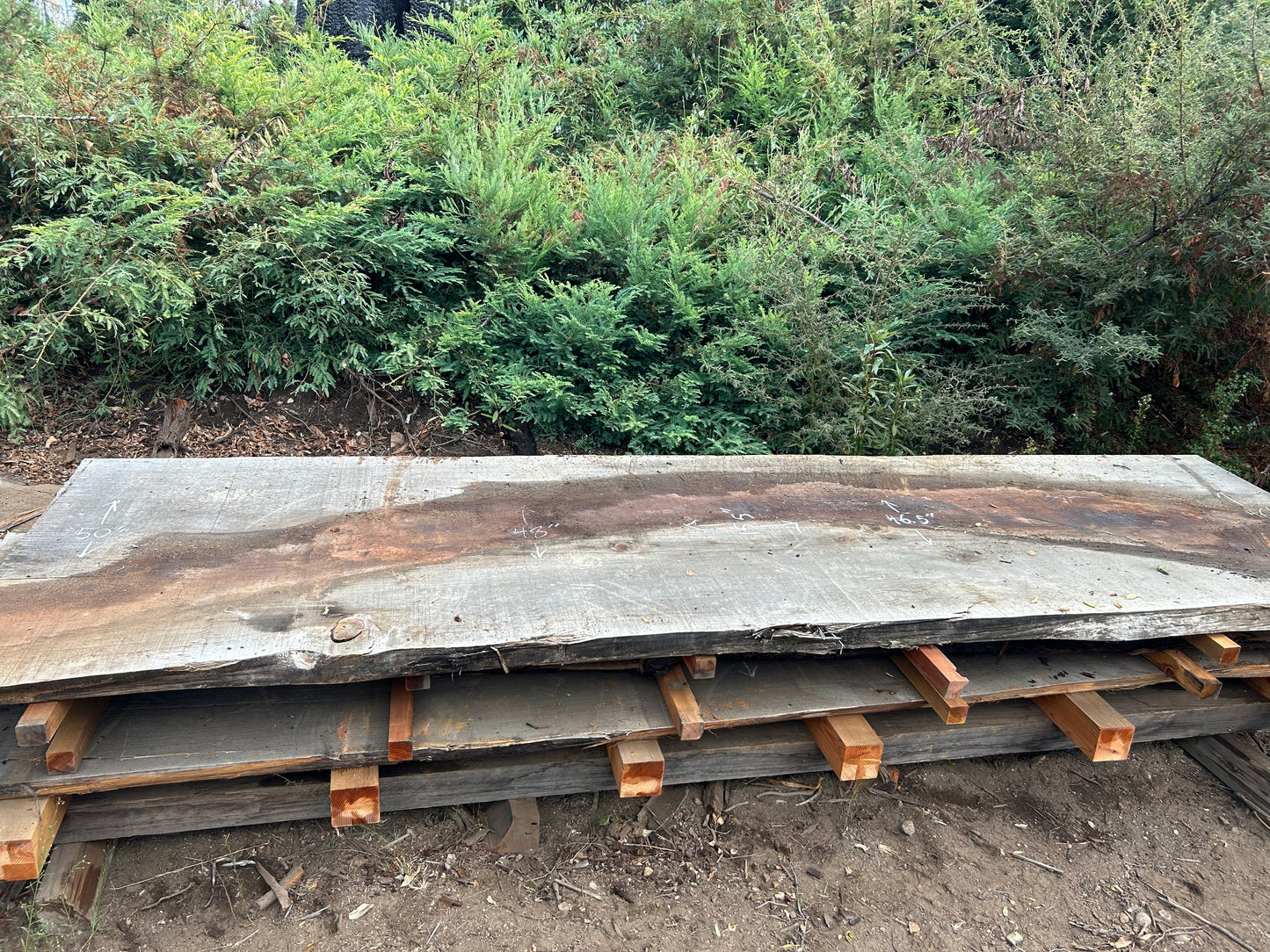 13'x48"x3" Redwood Slab