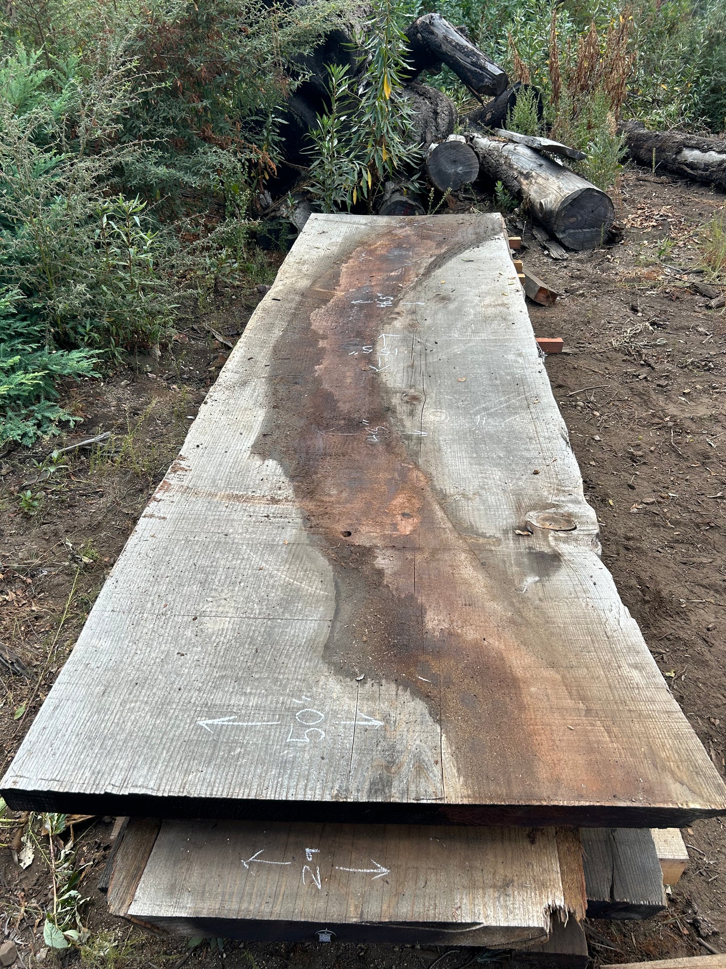 13'x48"x3" Redwood Slab