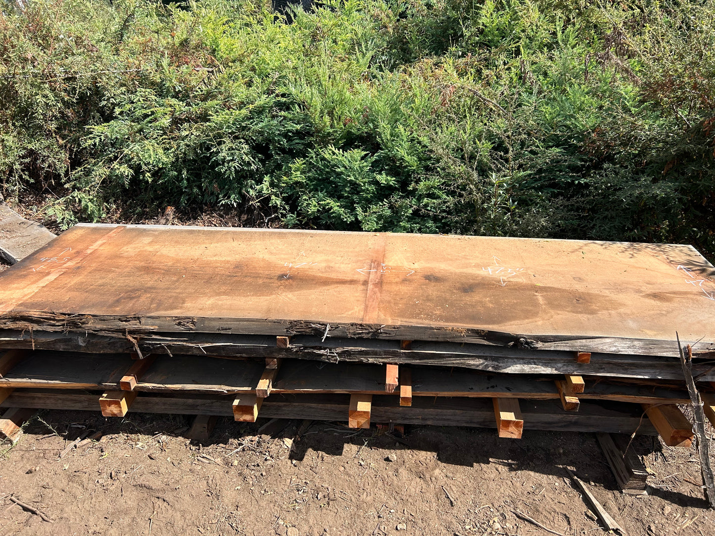 Redwood Slabs - Santa Cruz