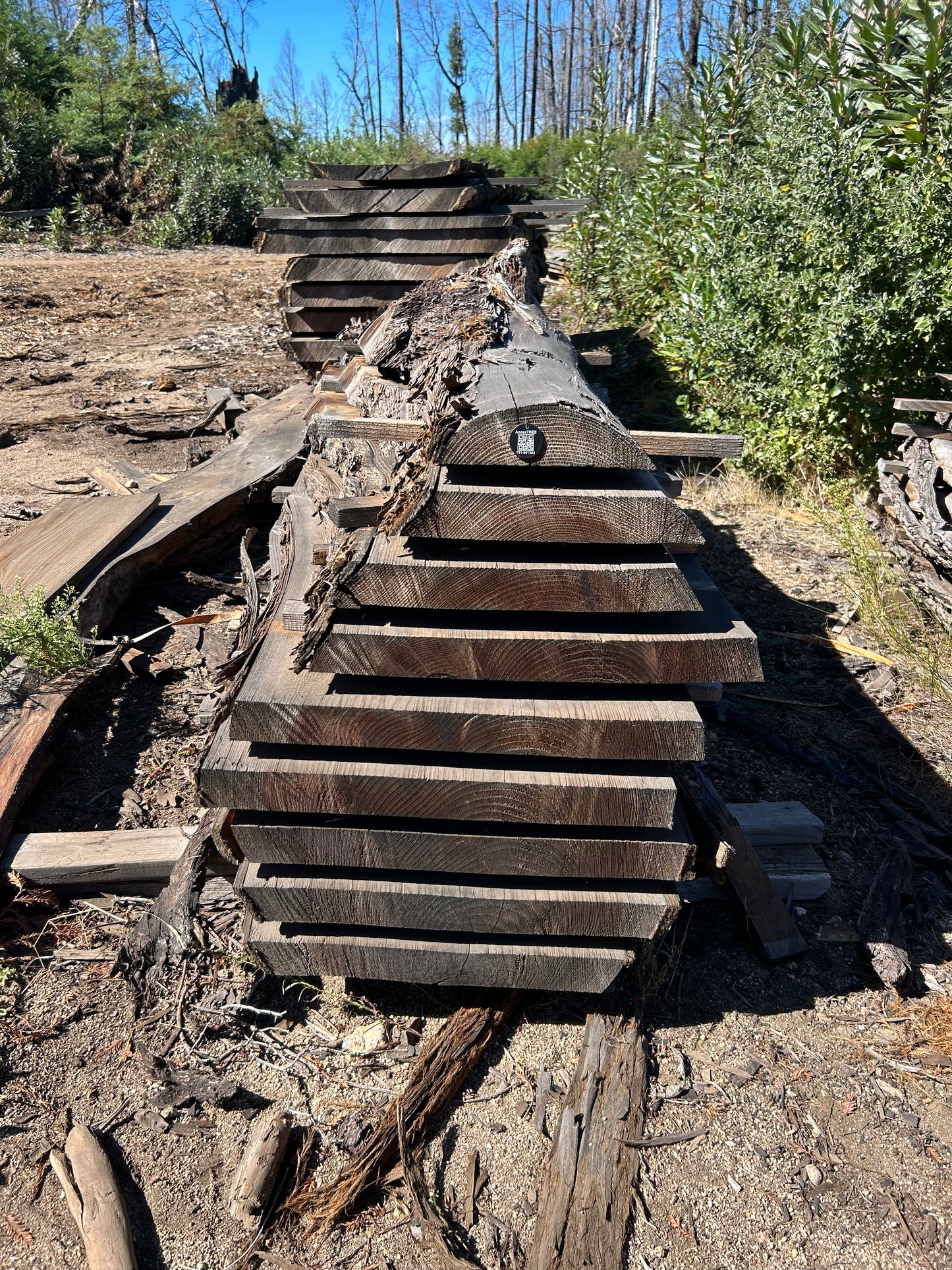 Redwood Slabs