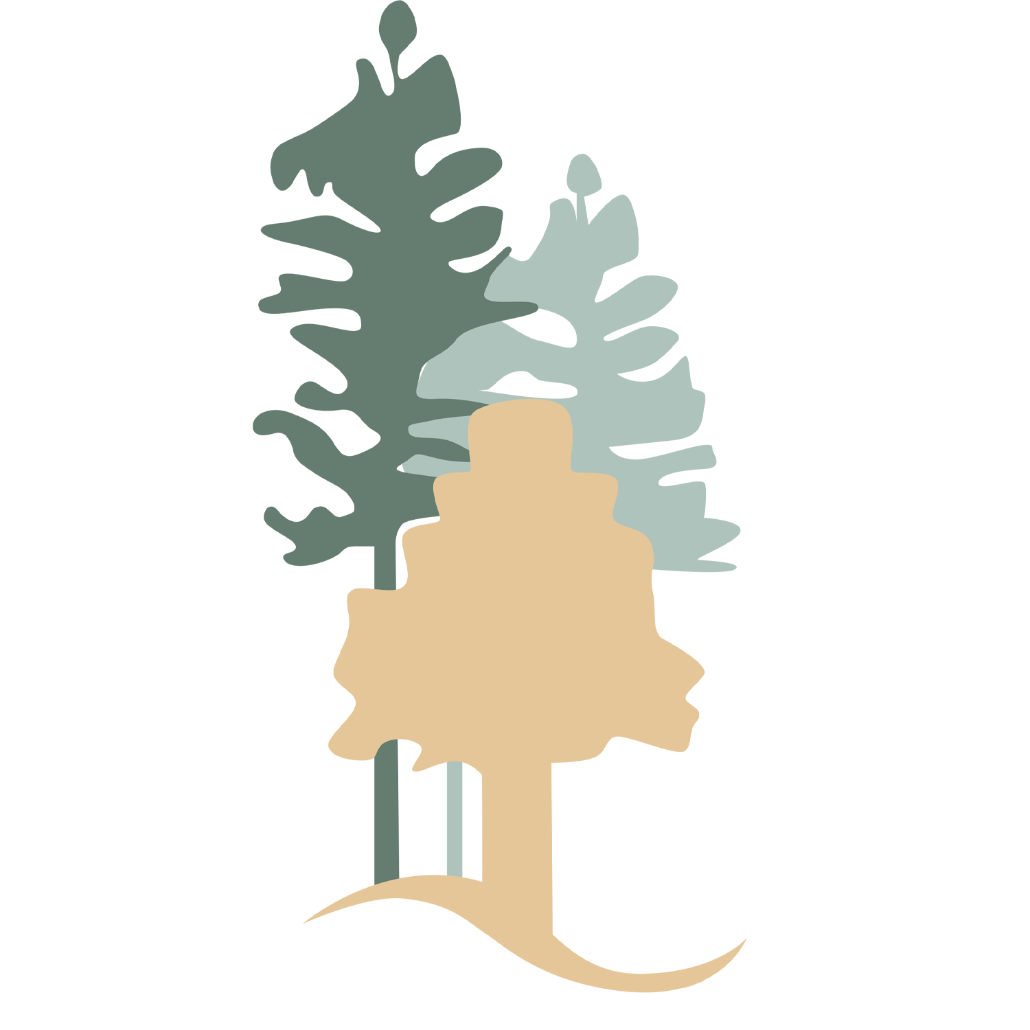 Buy Redwood - Out Of The Woods - Santa Cruz