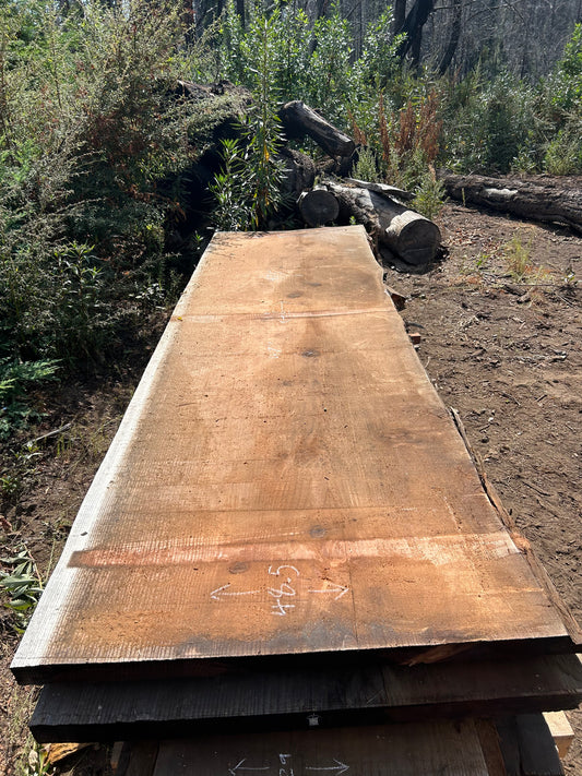 Redwood Slabs - Santa Cruz